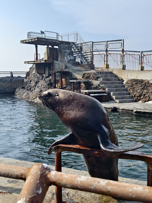 親子必去水族館人氣景點 親子必去水族館人氣景點