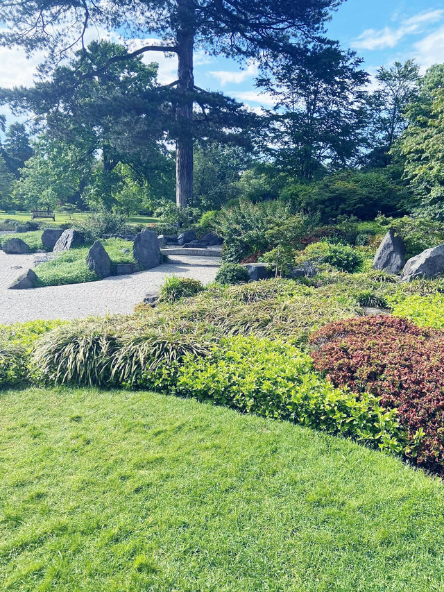 Your Spring Awakening: A Solo Escape to Kew Gardens