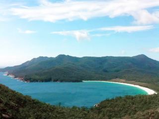 Seaside Resort and Penguin Watching