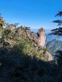 The Triple-Stacked Tortoise