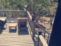 印尼🇮🇩門姜岸島