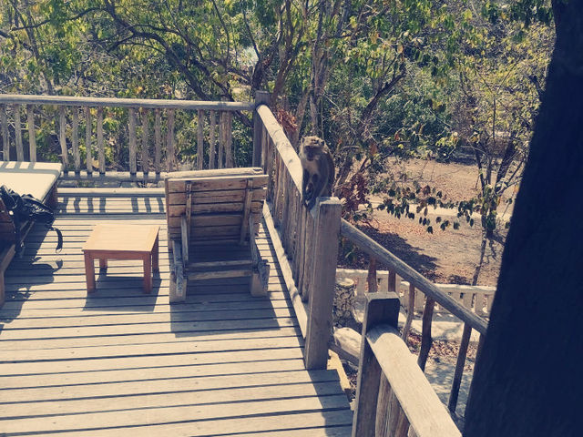 印尼🇮🇩門姜岸島