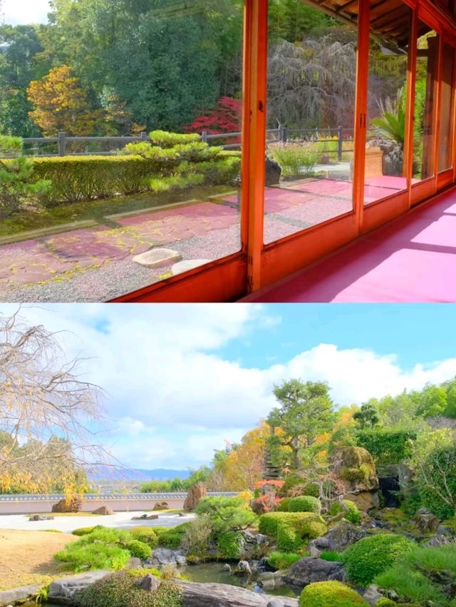 京都小眾賞楓秘境|正法寺禪意紅葉之旅🍁 京都小眾賞楓秘境|正法寺禪意紅葉之旅🍁