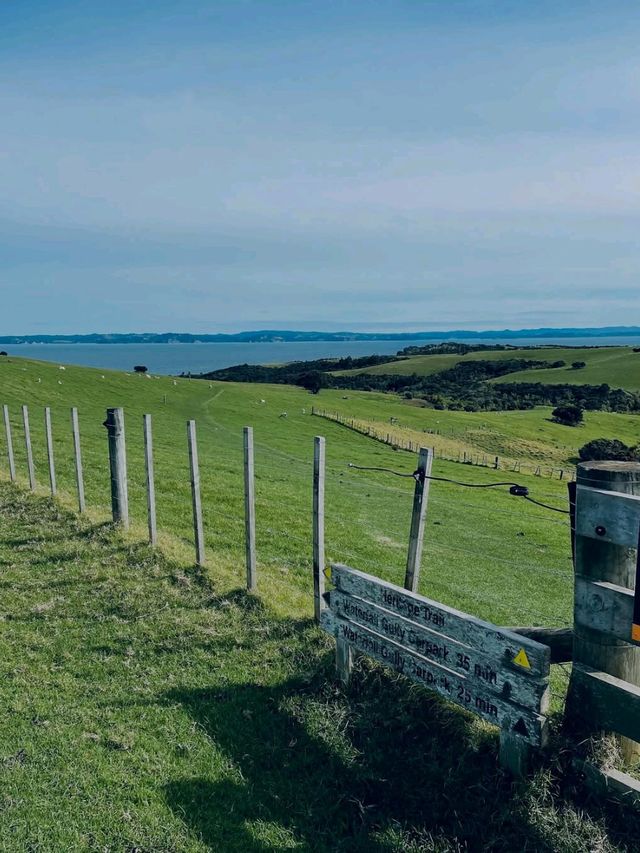 A Scenic Coastal Haven with Calm Waters and Open Horizons A Scenic Coastal Haven with Calm Waters and Open Horizons