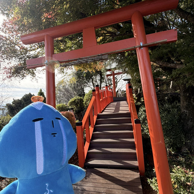 伊豆全景公園免費足湯、修善寺紅葉公園🍁