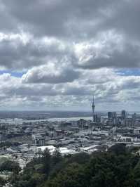 Urban Nature Spot🌳