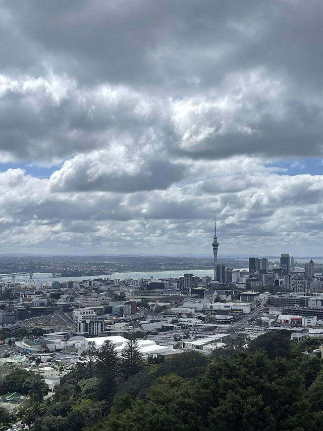 Urban Nature Spot🌳 Urban Nature Spot🌳