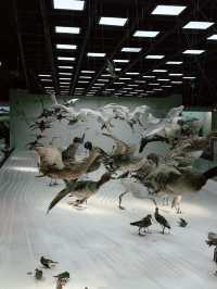 Shanghai Natural History Museum