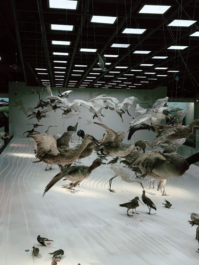 Shanghai Natural History Museum Shanghai Natural History Museum