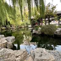 🐟 A Peaceful Local Park Beside the City Center