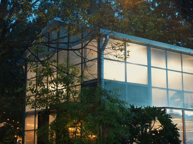 Golden-Hour Catch-Up: Why The Glasshopper Is Perfect for Afternoon Conversations