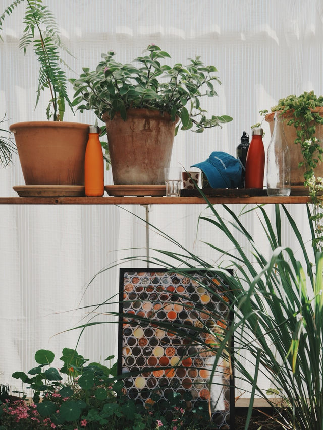 丹麥旅行 -  Noma 回來了 玻璃屋中的北歐味覺實驗室