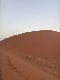 【世界最古の砂漠】ナミブ砂漠🇳🇦