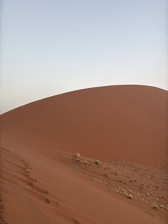 【世界最古の砂漠】ナミブ砂漠🇳🇦