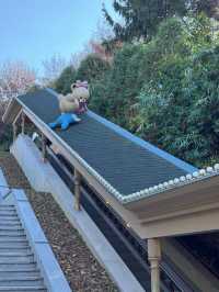 Park Magic Unveiled🌙