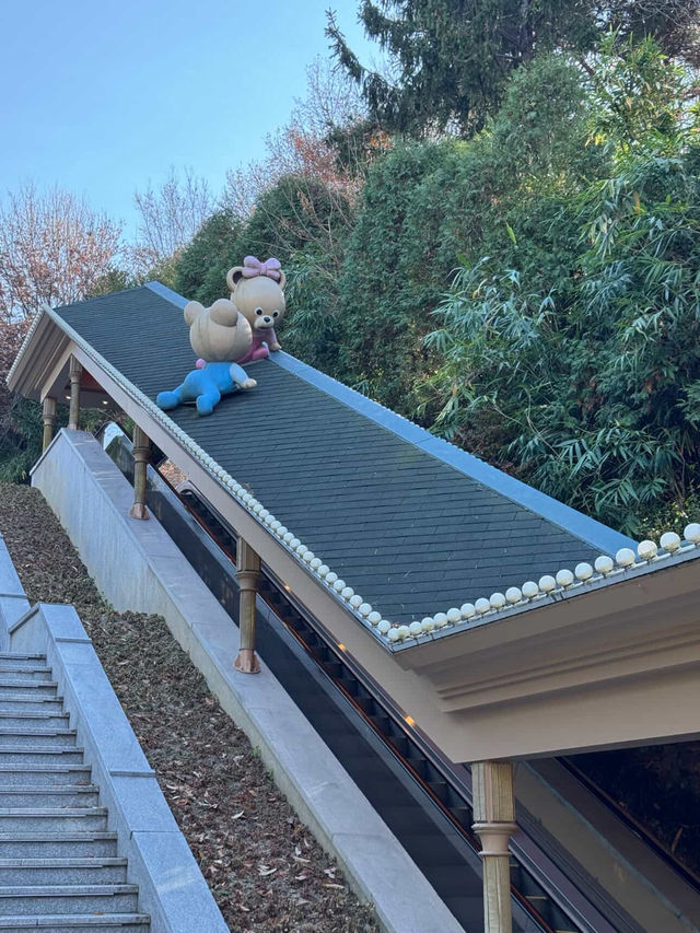 Park Magic Unveiled🌙 Park Magic Unveiled🌙