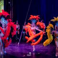 Phuket Circus (The Adrenaline Rush)