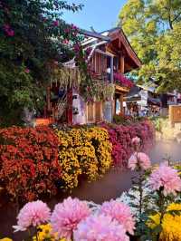 ลี่เจียง เมืองโบราณที่โรแมนติกที่สุดในทริปนี้