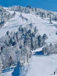 Ski Trip: Beidahu, Jilin