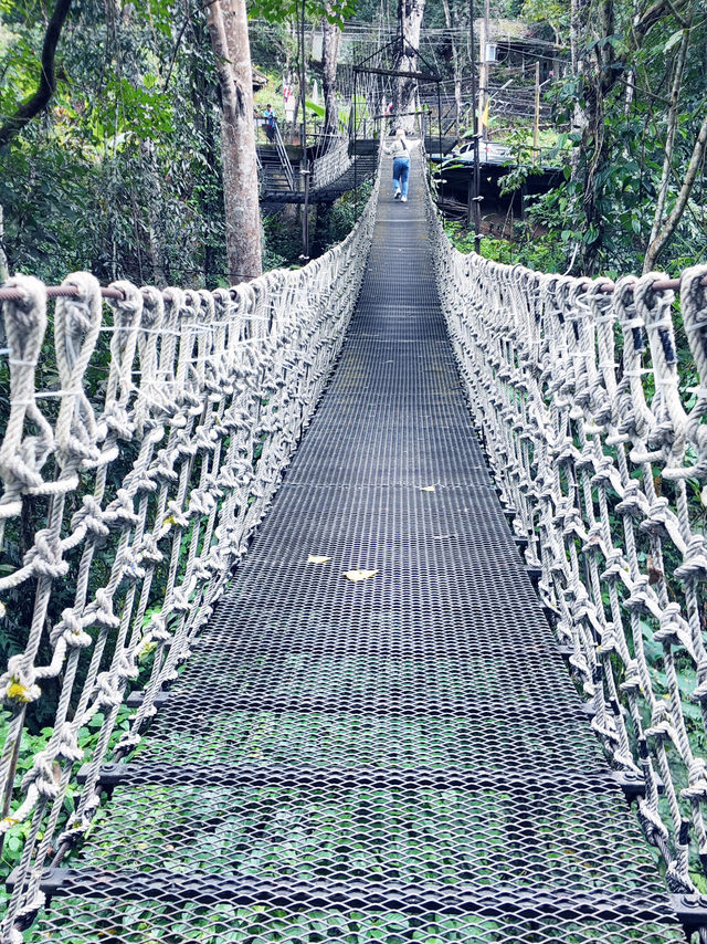 Nature Retreat Inn🍃