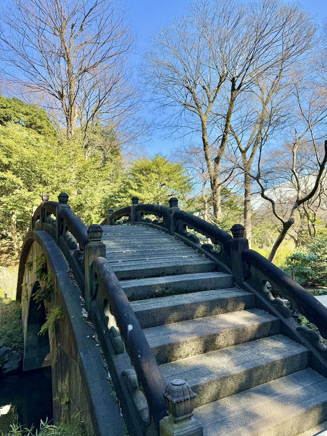 A Living Legacy from the Edo Period