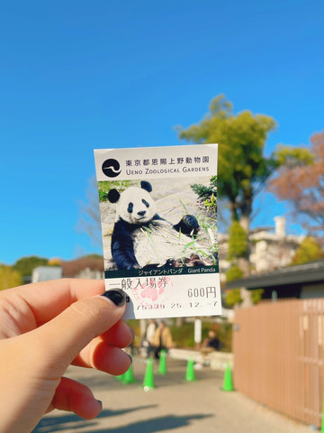 🌸🐊 上野動物園：最新情報!! | Trip.com 東京