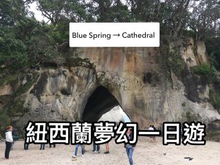 New Zealand North Island Day Trip｜Blue Spring + Cathedral Cove