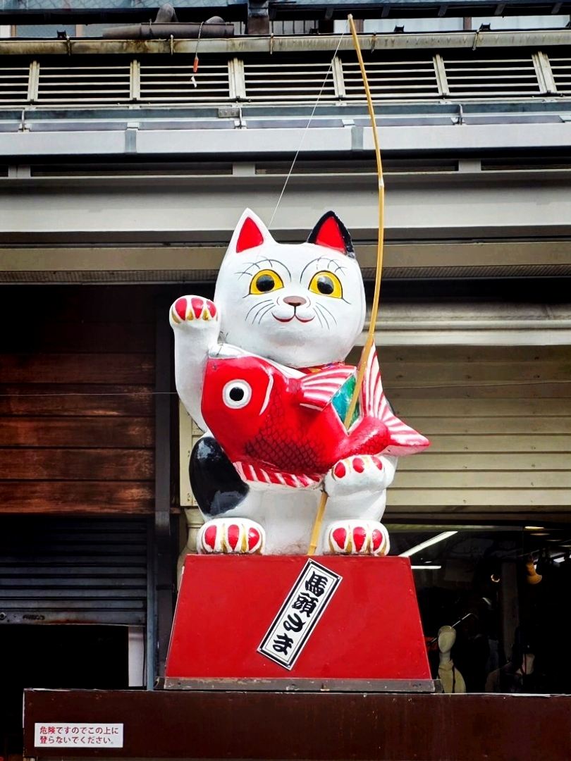 Admire the beauty of Takayama and the adorable lucky cats at Hida