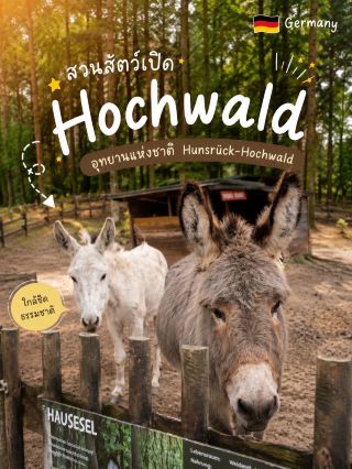 Hochwald Wildpark🌲🇩🇪
