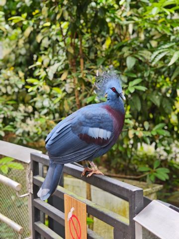 マンダイ・バード・パラダイス。 | Trip.com シンガポール