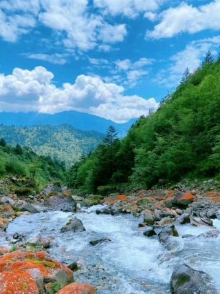 🌿 Western Sichuan's Hidden Summer Escapes