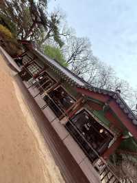 世界遺産『昌徳宮』を訪問！豪華な宮殿と可愛いお土産ショップが魅力