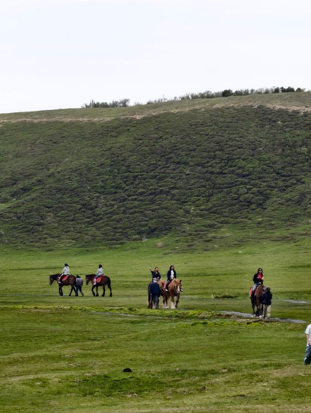 Discover Kyushu’s Best Natural Gem – Mount Aso & New Kusasenri