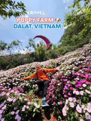 Why Everyone Told Me to Visit Puppy Farm in Da Lat… Now I Understand 🐾