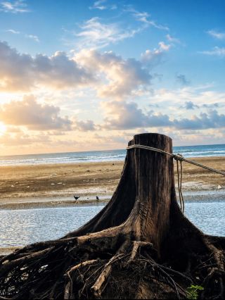 Rezu Khal — Cox’s Bazar 🌊🌿

Rezu Khal (রেজু খাল) is a beautiful coastal waterway located along the Cox’s Bazar–Teknaf Marine Drive, near the Inani–Ukhia coastal area. The Rezu Khal Bridge is one of the notable points along the route from Cox’s Bazar toward Inani Beach.

🌊 Natural Beauty

Rezu Khal creates a beautiful contrast between the green hills, coastal vegetation and flowing water. As you cross the bridge, the surrounding landscape offers a wonderful glimpse of the natural beauty of Cox’s Bazar beyond its famous beaches.

The area is especially attractive during the rainy season when the greenery becomes more vibrant.

🌉 Rezu Khal Bridge

The bridge is a popular stopping point for travelers driving along Marine Drive. From the bridge, you can enjoy views of the waterway and surrounding landscape.

It is also a great place for a quick photo stop during an Inani Beach or Marine Drive road trip.

🛣️ Marine Drive Experience

One of the best things about Rezu Khal is the journey itself. Driving along Marine Drive, you get a spectacular combination of:

· 🌊 Bay of Bengal
· ⛰️ Green hills
· 🌴 Coastal forests
· 🌉 Rezu Khal Bridge
· 🛣️ Scenic coastal road
· 🛶 Local boats and waterways

📸 Photography

Rezu Khal is particularly beautiful for travel photography and reels. You can capture the bridge, water, hills and Marine Drive together in one frame.

Best time: early morning or late afternoon, especially around golden hour. 🌅

🚗 How to Reach

From Cox’s Bazar town, take the Marine Drive road toward Inani Beach/Teknaf. Rezu Khal is located along this scenic coastal route, and you will cross the Rezu Khal Bridge on the way.

It is convenient to visit Rezu Khal together with Inani Beach, Himchari and other Marine Drive attractions.

❤️ Why Visit Rezu Khal?

Rezu Khal may only be a short stop on a Marine Drive journey, but the combination of river, bridge, hills, greenery and coastal scenery makes it a memorable part of the Cox’s Bazar experience.

“A road beside the sea, green hills on one side and the peaceful waters of Rezu Khal below—the Rezu Khal Bridge is one of those small moments that makes the Cox’s Bazar Marine Drive unforgettable.” 🌊🌉⛰️

#RezuKhal #Rejukhal #RezuKhalBridge #CoxsBazar #InaniBeach #MarineDrive #CoxsBazarTravel #BangladeshTravel #VisitBangladesh #ExploreBangladesh #BayOfBengal #TravelPhotography #NatureLovers #BeautifulBangladesh #TravelBangladesh
