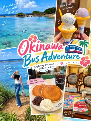 Kunigami District Travel Guide 2026: Top Attractions, Local Food