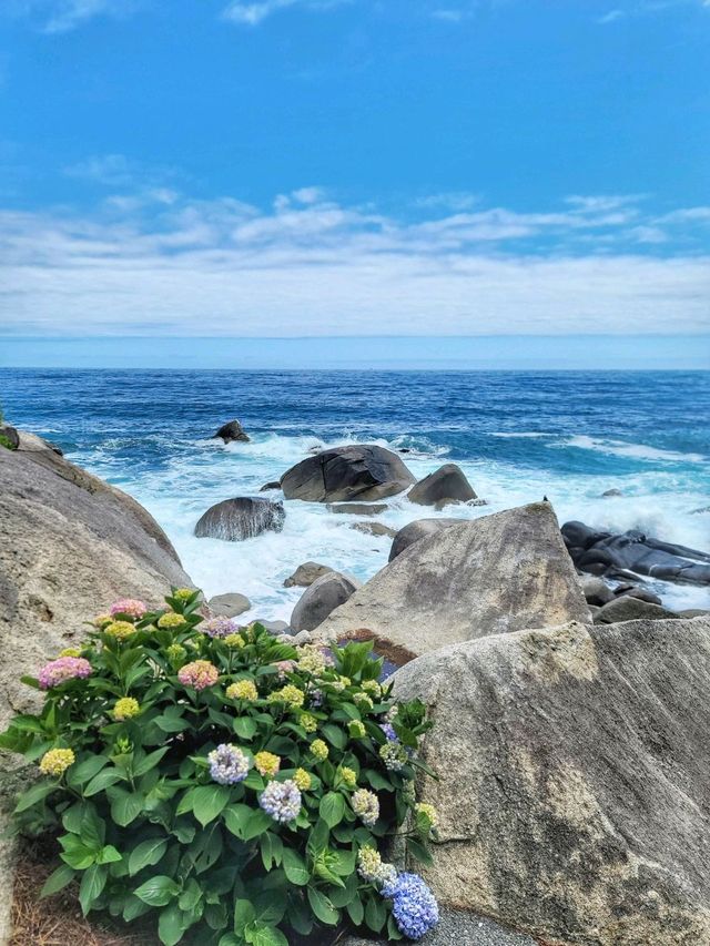 양양의 푸른 바다가 한눈에 펼쳐지는 곳💙