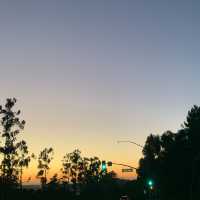 long beach road trip
