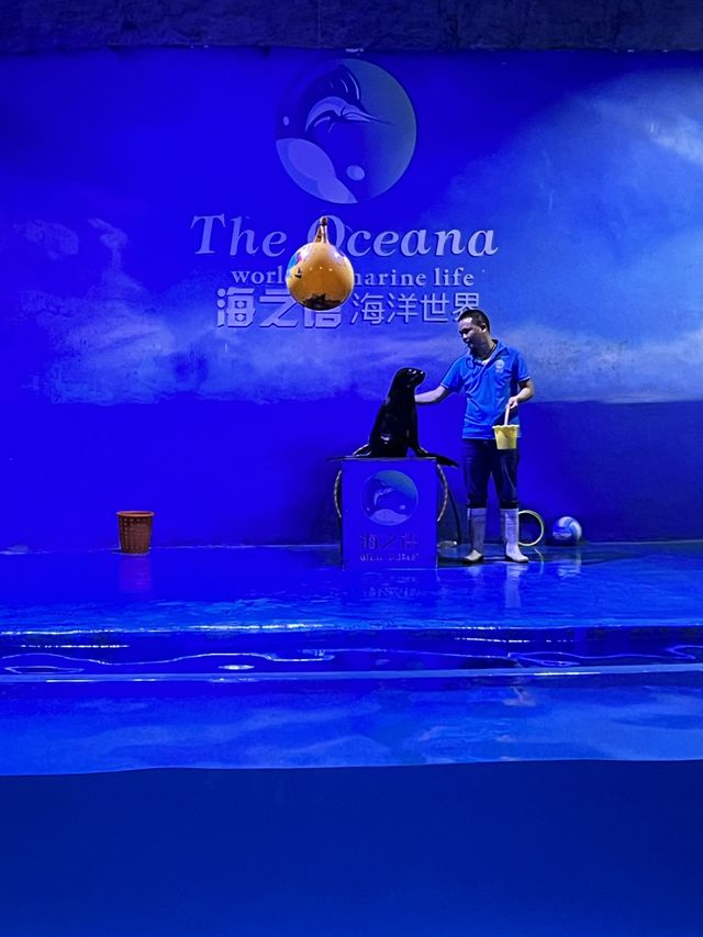 The Oceana Aquarium - Haikou