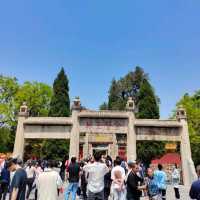 Qufu's Echoes of Ancient Wisdom