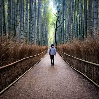 Kyoto and around!