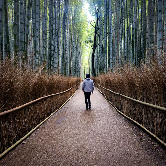 Kyoto and around!