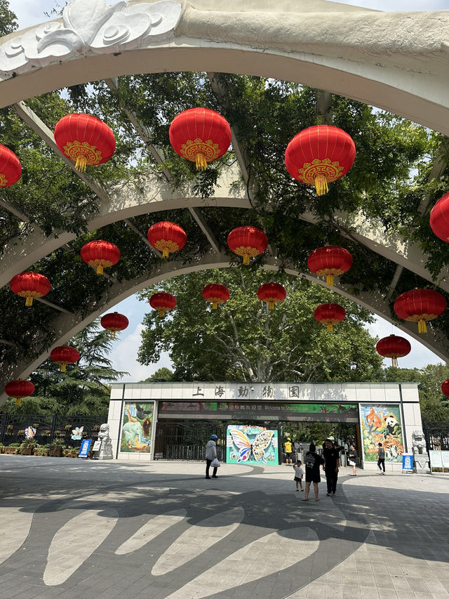 Shanghai Zoo: A Green Escape in the City Shanghai Zoo: A Green Escape in the City