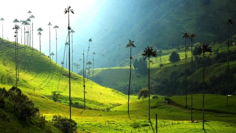 An Overview of Colombia's Top Attractions and Travel Highlights. — traveler post in Salento