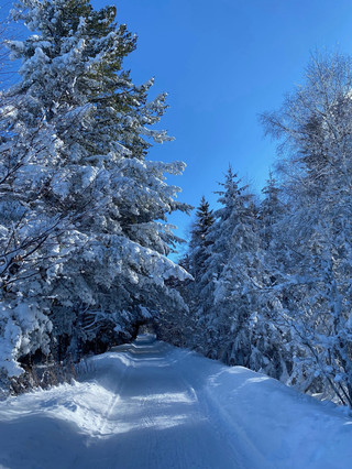 🏔️ Vitosha in Winter 🇧🇬 — Hiking at −20°C Above Sofia ❄️
