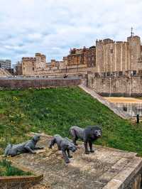 Who lives at the Tower of London?