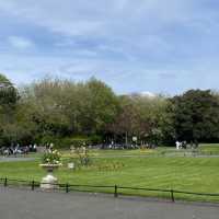 아일랜드 더블린, 유명한 공원. St Stephen’s Green 🌳