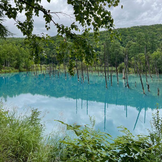 北海道旅行 青い池💙
