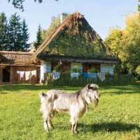 The Museum of the Lublin Countryside