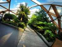 Crossrail Place Roof Garden 🌼